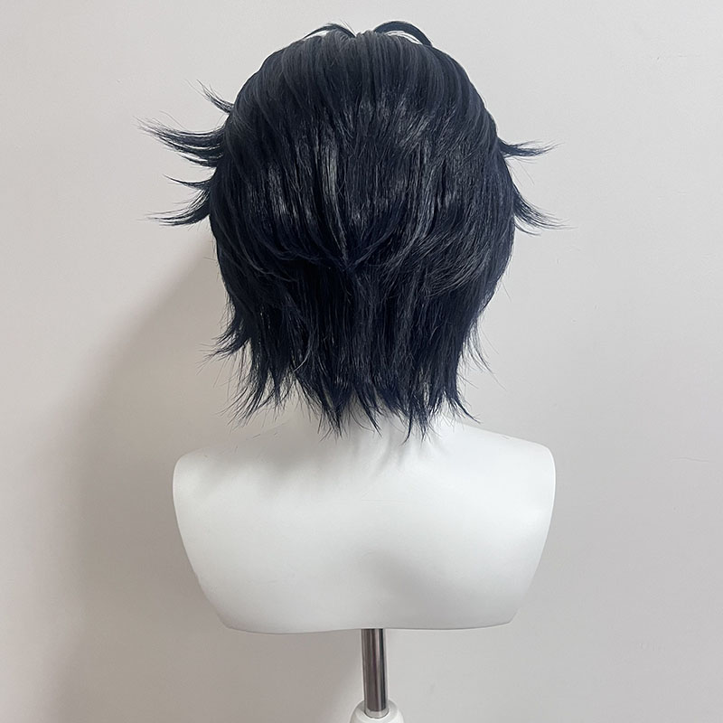 【スタイリング済みウィッグ】朝巴春馬 コスプレウィッグ ZZ - Hair Care Ingredients のレビューと価格