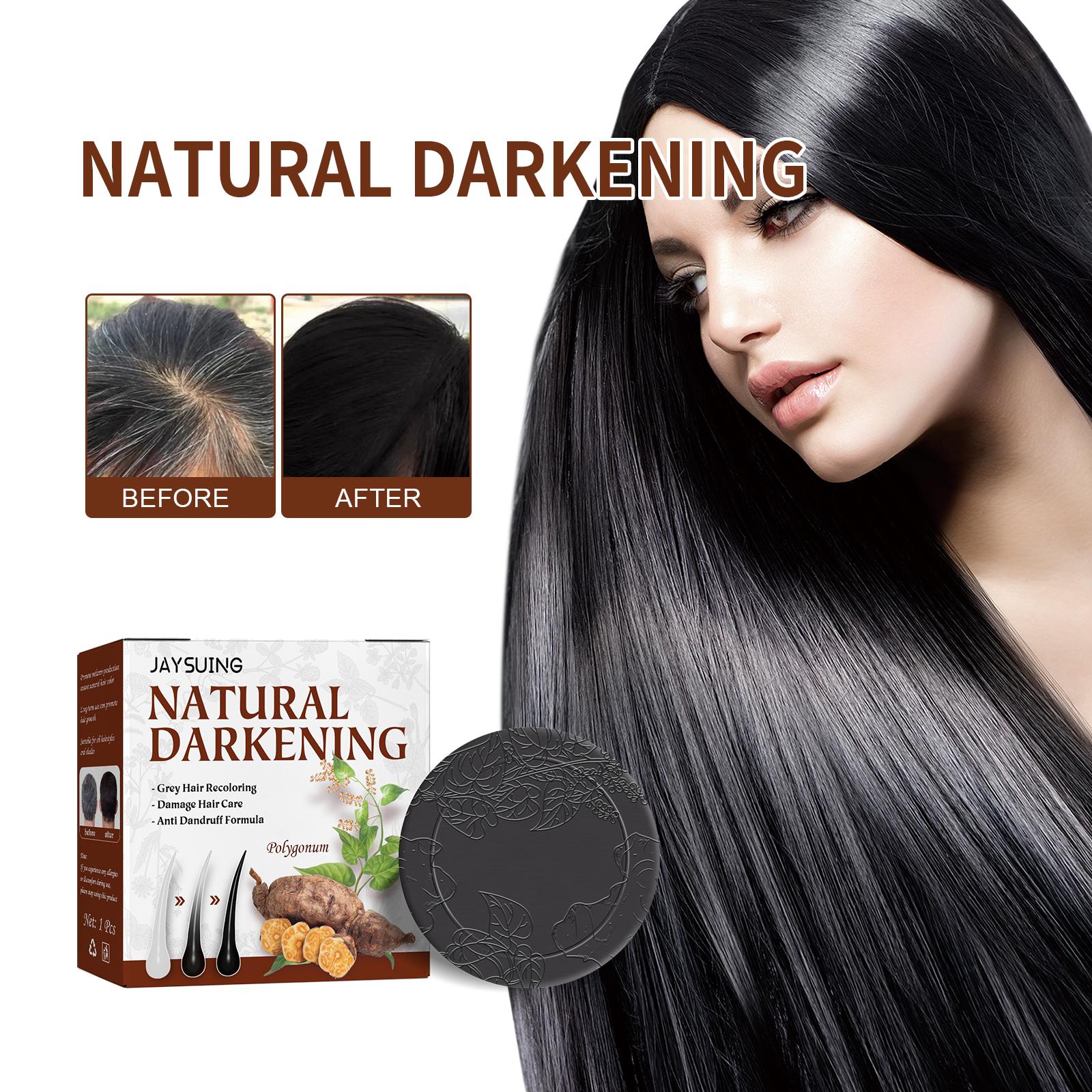 天然ハーブ白髪染めシャンプーソープ タデ科植物エキス 白髪修 - Hair Care Pantene のレビューと価格